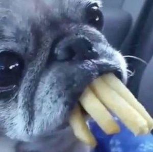 Meet your Posher, Mario